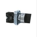 SELECTOR 2 POSICIONES S/ LLAVE PB2-BD21 TOSUN