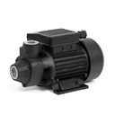 BOMBA HIDROETNA 756 0.75 HP P/FUENTES, 115V, BAICO