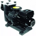 BOMBA P/PISCINA 10 HP, MAGNUS, 220V/440V, CON BRIDAS, BAICO