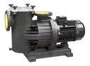 BOMBA P/PISCINA 5.5 HP, MAGNUS, 220V/440V, CON BRIDAS, BAICO