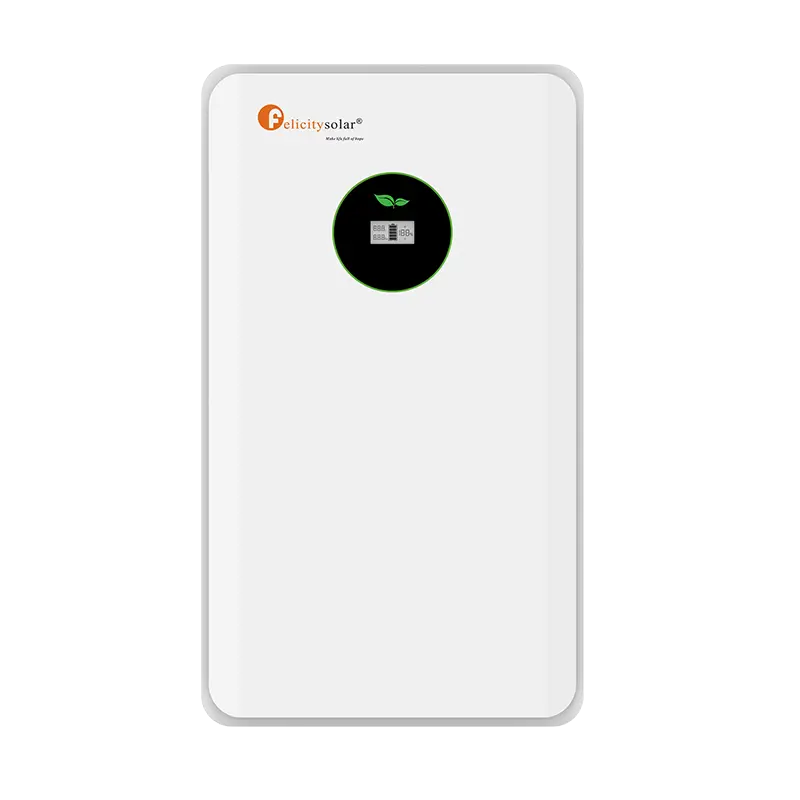 BATERÍA DE LITIO DE 10KWH 200A 48V CON BMS INTELIGENTE, BREAKER Y FUSIBLE 6000 CICLOS PROFUNDOS AL 95%DOD
7 AÑOS DE GARANTÍA. FELICITY