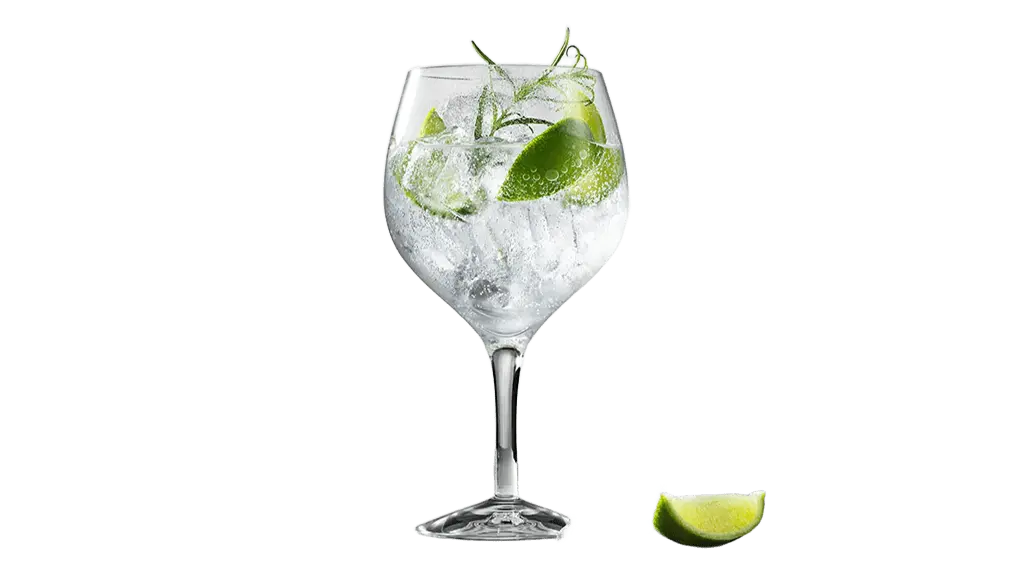 COCTEL GIN TONIC