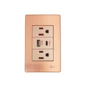 [60.15.INT0311] TOMA DOBLE USB SERIE OTTONE BARI