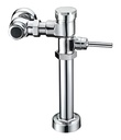 [79.21.046193] FLUXOMETRO PARA WC, 046193, WEBSTON