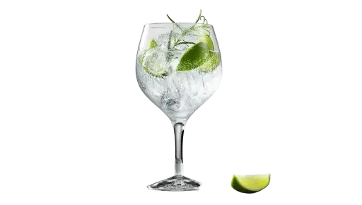 [A01.01.049] COCTEL GIN TONIC
