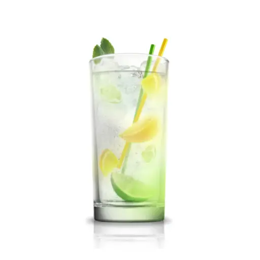 COCTEL GIN TONIC ESPECIAL ANCESTRAL