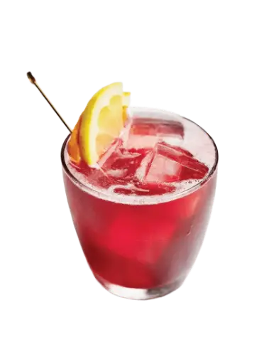 [A01.01.054] COCTEL TINTO DE VERANO